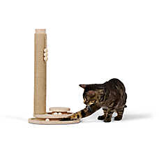 Whisker City? Cat Scratching Post & Duo Ball Track, Encourages Positive Scratching Behavior 21" Tall