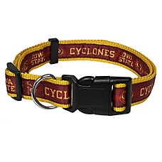 Pets First NCAA Iowa State Satin Dog Collar