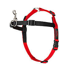 Halti? Training Dog Harness