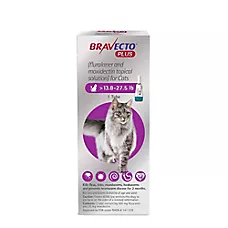 Bravecto Plus Topical Solution for Cats, 13.8-27.5 lb (Purple), 1 Dose,  2-Month Supply