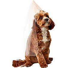 Rubie's Pet Shop Fairy Cone Hat