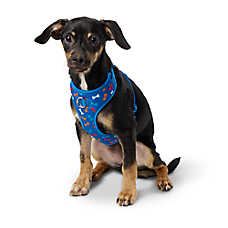 Top Paw? Blue Bones Adjustable Comfort Dog Harness XXS