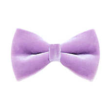 Made By Cleo? Velvet Lavender Cat Bow Tie