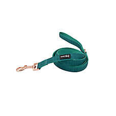 Sassy Woof Napa Dog Leash: 5-ft long