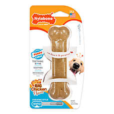 Nylabone Puppy Chew Bone Puppy Toy Dog Chew Toy