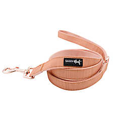 Sassy Woof Apple Cider Dog Leash: 5-ft long