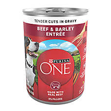Purina ONE? SmartBlend Everyday Nutrition Adult Dog Wet Food - 13 oz., Natural