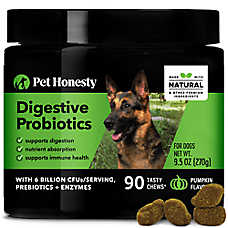 Pet Honesty Dog Digestive Probiotics, Supports Digestive Tract, Pumpkin Flavor, 90ct