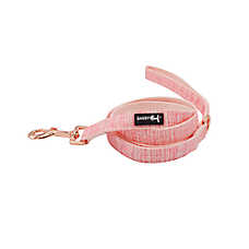 Sassy Woof Dolce Rose Dog Leash: 5-ft long