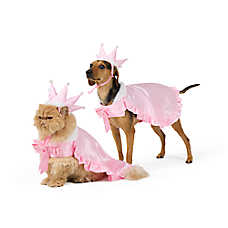 Thrills & Chills? Princess Dog & Cat Costume Set