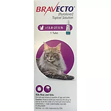 Bravecto Topical Solution for Cats, 13.8 - 27.5 lbs (Purple), 1 Dose, 12 Week Supply
