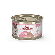 Royal Canin? Feline Health Nutrition? Mother & Babycat Mousse in Sauce Wet Cat Food ? 5.1 oz can