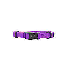 Sassy Woof Neon Purple Dog Collar
