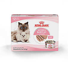 Royal Canin? Feline Health Nutrition? Mother & Babycat Mousse in Sauce Wet Cat Food ? 3 oz 12-count