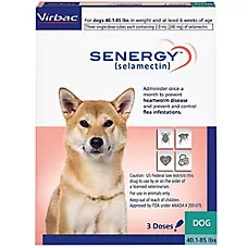 Senergy Topical for Dogs 40.1 - 85 lbs (Teal Box), 3 Month Supply