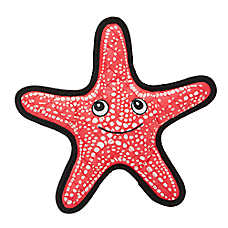 Joyhound Rip Roarin' Tough Starfish Dog Toy
