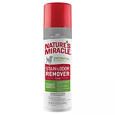 Nature's Miracle® Stain & Odor Remover Foam For Dogs, Enzymatic Formula For Multi-Surface Messes