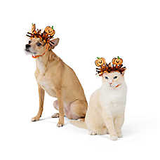 Thrills & Chills? Pumpkin Dog & Cat Headpiece