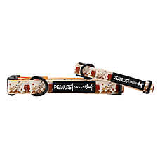 Sassy Woof Peanuts&trade; Harvest Fall Adjustable Dog Collar