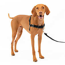 PetSafe? Easy Walk Dog Harness, No Pull Dog Harness, Adjustable Dog Harness, Black, Multiple Sizes