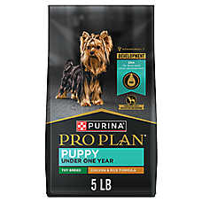 Purina Pro Plan High Protein Toy Breed Dry Puppy Food DHA Chicken and Rice Formula