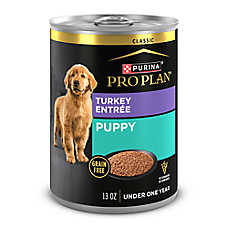 Purina Pro Plan Development Puppy Wet Dog Food - Grain Free, Turkey, 13 oz