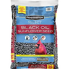 Pennington® Select Black Oil Sunflower Bird Seed for Wild Birds