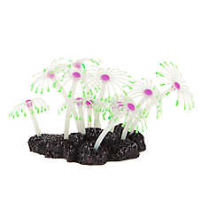 Top Fin? Glow-in-the-Dark Moveable Flower Aquarium Ornament - Fish Tank Decor - Small