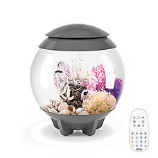 biOrb HALO 15 Aquarium with Multi Color LED - 4 Gallon Fish Tank