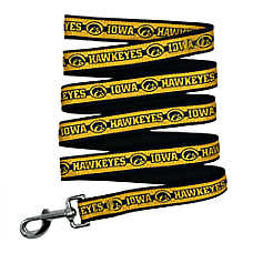 Pets First NCAA Iowa Satin Dog Leash