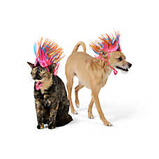 Thrills & Chills? Mohawk Dog & Cat Headpiece