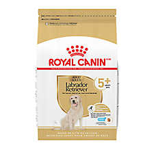 Royal Canin Breed Health Nutrition Labrador Retriever Senior 5+ Dry Dog Food