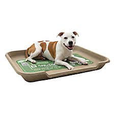 PetPro Disposable Molded Pulp Dog Bed, Large
