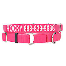 Coastal Pet Products Personalized Martingale Dog Collar