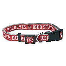 Ohio State University Buckeyes NCAA Collar