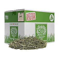 Small Pet Select 1st Cut Timothy Hay