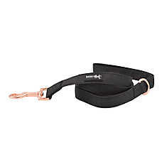 Sassy Woof Baby Got Black Dog Leash: 5-ft long