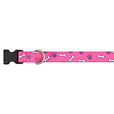 Top Paw? Dog Bones & Paws Dog Collar, Pink Dog Collar, Adjustable, Comfortable, Multiple Sizes
