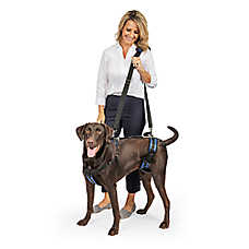PetSafe? CareLift &trade; Full Body Nylon Support Dog Harness