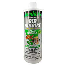 Kordon? Rid Fungus for Fungal Infections