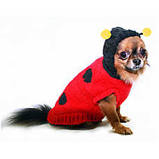 Hip Doggie Lady Bug Dog Sweater