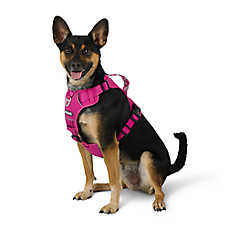 Arcadia Trail? Quick Dry Dog Harness, Reflective Thread, Adjustable, Multiple Colors & Sizes
