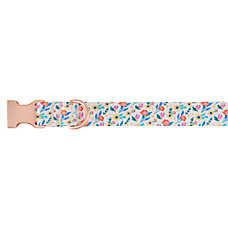 Top Paw? Wild Flower Dog Collar, Adjustable, Neoprene, White, Flower, Multiple Sizes