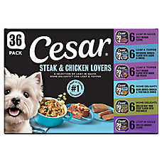 Cesar? Wet Dog Food Steak & Chicken Lovers Variety Pack, 36 Count