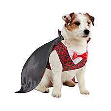 Rubies Pet Shop, Vampire Costume