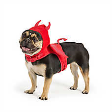 Thrills & Chills&trade; Halloween Devil Dog Costume Harness