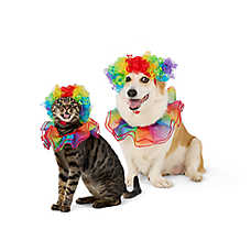 Thrills & Chills? Clown Dog & Cat Costume Set