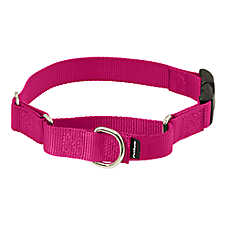 PetSafe? Martingale 3/4" Collar with Quick Snap Buckle