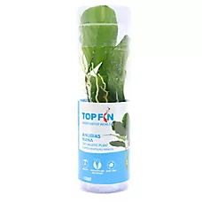 Top Fin® Anubias Live Plants - Live Aquarium Plant for Fish Tanks - 4-8 in