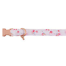 Top Paw? Peony Dog Collar, Flower Dog Collar, White & Pink Dog Collar, Comfortable, Adjustable